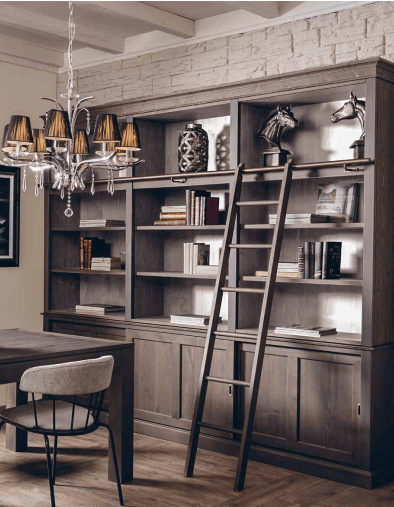 Bookcase with ladder